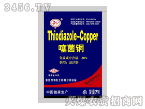 ����-20%���ͭSC