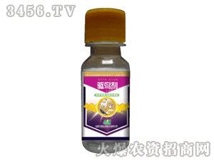 ����-ͨ����30g�����ˮ��