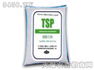��������-�������ƣ�TSP��