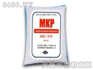 ��������-�������أ�MKP��