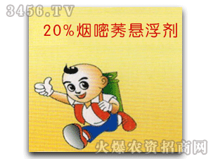 �Ʒ�-20%����ݬ������