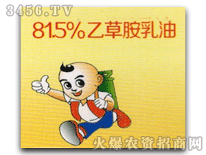�Ʒ�-81.5%�Ҳݰ�����
