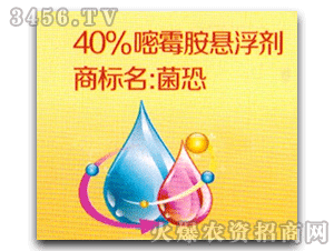 �Ʒ�-����-40%��ù��������