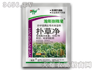 40g/���˲ݾ�-�˹������