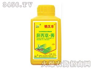 42%�����ݬ-���ַ�