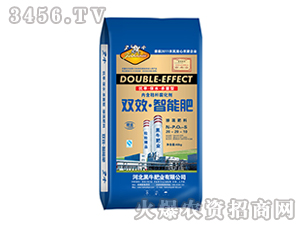40kg˫Ч���ܲ����20-20-10-��ţ