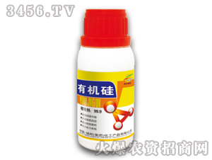 �л��裨���ڼ���-�������