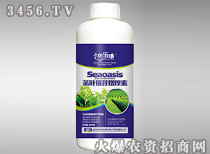 1kg��������ˮ�ܷ���-��Ҷ��ѿ������-���ֿ�-�������