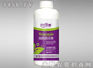 1kg��������ˮ�ܷ���-ϸ��������-���ֿ�-�������