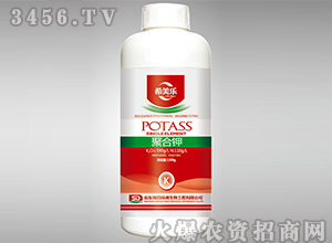1300g�Ǵ�п-ϣ����-�������