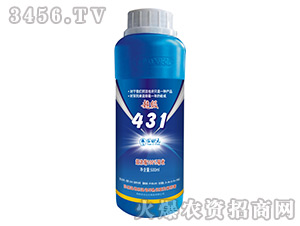 Ҷ���-����431-��״Ԫ