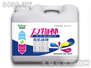 �л��׼�10-22-26+20C+TE-���ﲹ-������