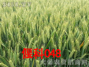 �ȿ�048-С������-�̶���ҵ