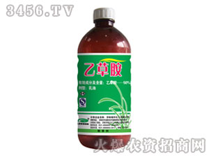 50%�Ҳݰ�-�̰�