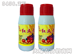 Ҷ���-һ����ִ�-��ũ����