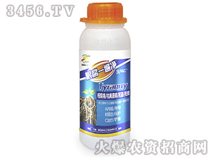 ����һ�龻-����