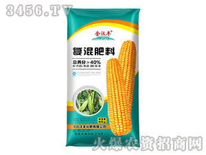 �������26-6-8-���ַ�