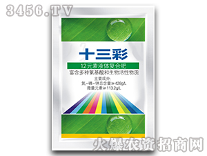 ʮ����-12Ԫ��Һ�帴�Ϸʣ�������ս����Ҷ���