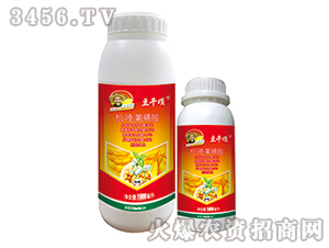 35%�ɡ�ୡ����ǰ�����-��ǧ��-�̵µ�
