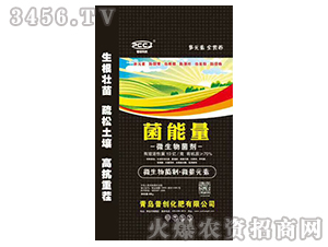 ������-΢�������-�մ��Ƽ�