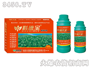 �̲�ר��Ӫ������������-�Ƶ±�