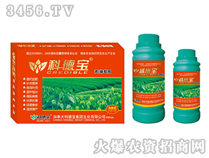 �衢ɣר��Ӫ������������-�Ƶ±�