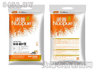 ����Ԫ��ˮ�ܷ���14-6-40+TE-ŵ��-���ַ�