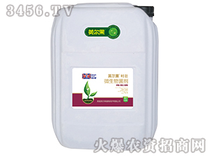 20kg΢�������-Ҷ׳-Ӣ����