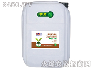 20kg΢�������-��׳-Ӣ����