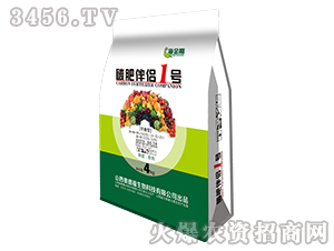 ̼�ʰ���1��-�����-�µ¸�