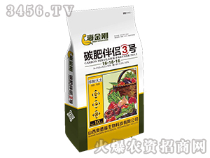 ̼�ʰ���3��-�����-�µ¸�