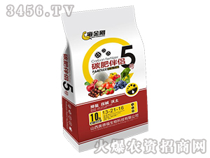 ̼�ʰ���5��-�����-�µ¸�