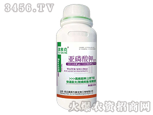 500ml�������2��-ŷ����-�������