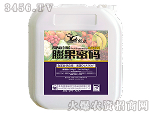 20kg�㵰�����������-����-������