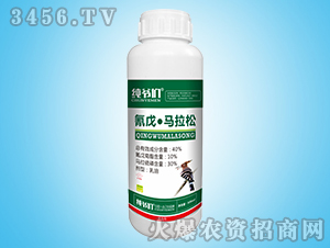 40%���졤����������-��ү��-���ⴺ��