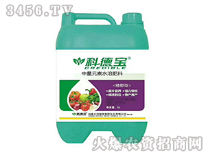 5L�Ǵ�������Ԫ��ˮ�ܷ���-�Ƶ±�