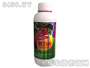 1000ml����Ԫ��ˮ�ܷ�̼��ͭ��þ-΢����-������