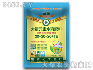 ������ϵ��500g����Ԫ��ˮ�ܷ�20-20-20+TE-����-³������