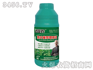 200ml��Ũ�����ĳ�ЧҶ�ʣ���Ҷ��ѿ�����飩-����ũ-������ũ