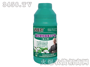 200ml��Ũ�����ĳ�ЧҶ�ʣ��޻���֦���ٷ���أ�-����ũ-������ũ