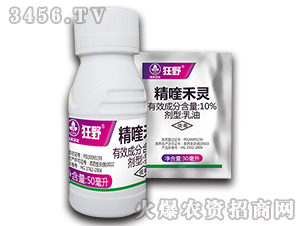 10%��୺�������-��Ұ-�к��ִ�