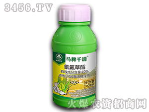 40%�������-����ǧ��-�к��ִ�