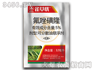 5%�����¡�ɷ�ɢ��������-ȸ����-�к��ִ�