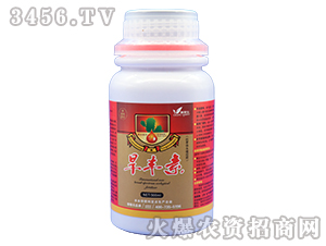 300ml������-�ڼ���