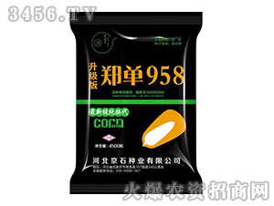 ֣��958�������棩-��������-��ʯ��ҵ