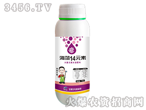 ����14Ԫ�ش���Ԫ��ˮ�ܷ���-������