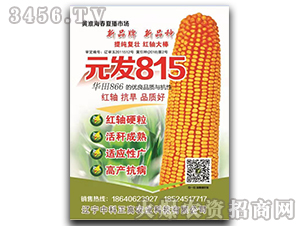 Ԫ��815-��������-�п�����