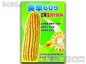 ����609-��������-�п�����