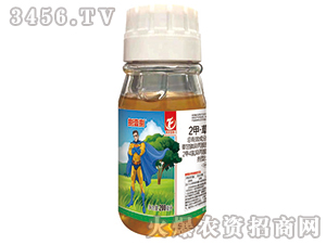50%���ס��ݸ��-��Ҽ��-ͬ������