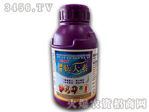 500ml���������-�ο�ֲ��